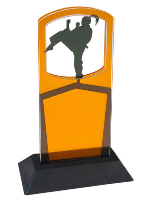 Sport Award | Martial Arts-Women's