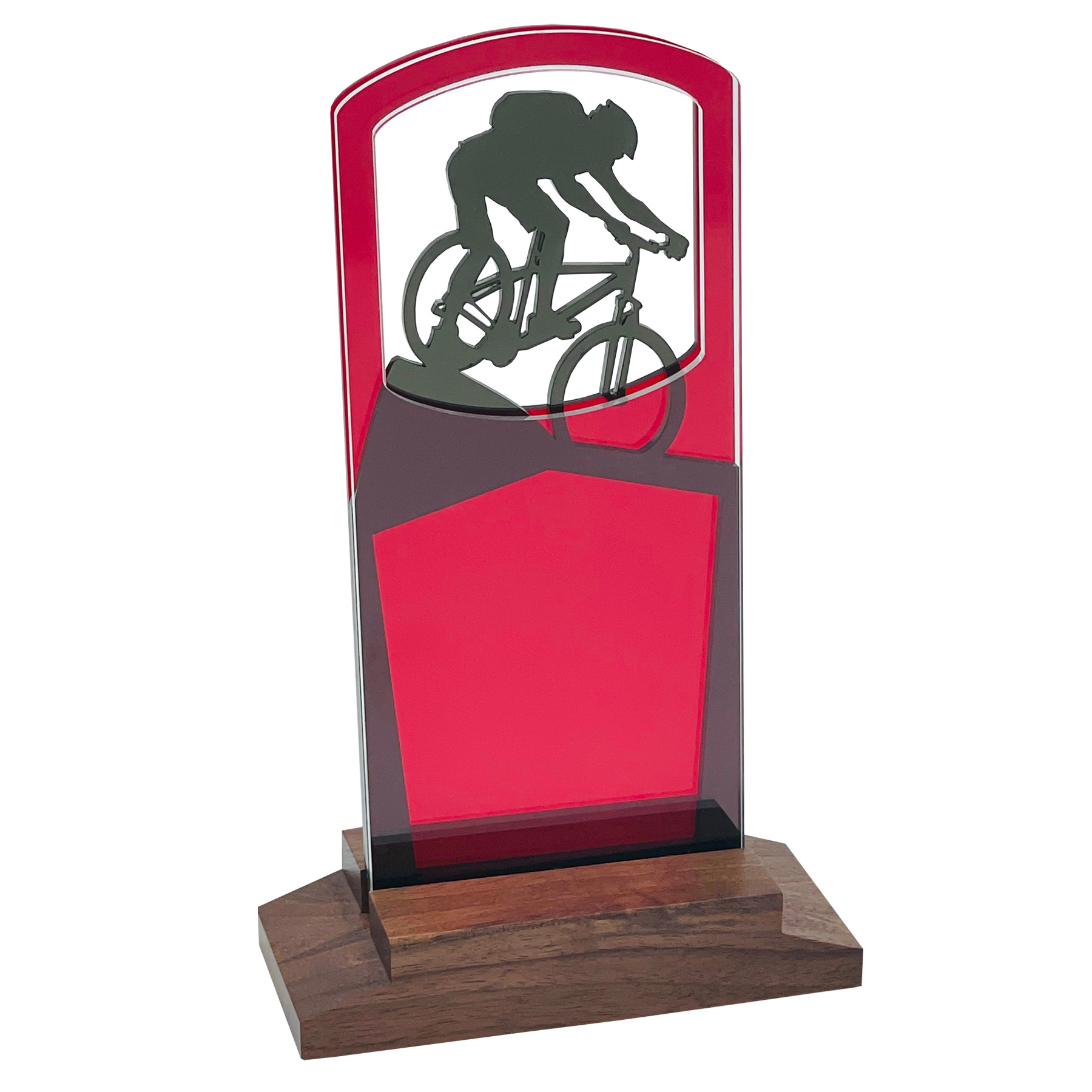 Sport Award | Mountain Biking - Image 2